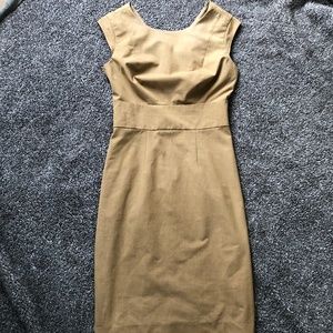 The Limited Sheath Fitted Dress
